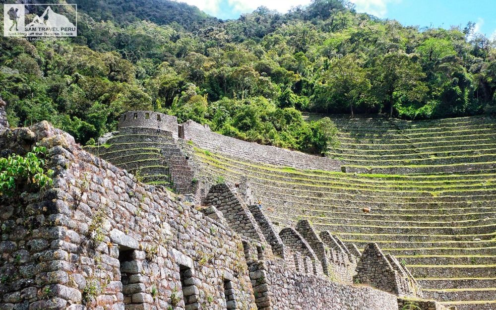 winay-huayna-camino-inca