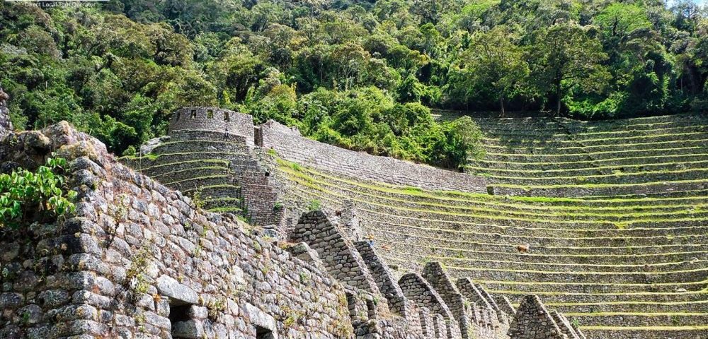 winay-huayna-camino-inca